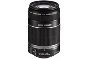 Canon EF-S55-250 4-5.6 IS Obiettivo (Ricondizionato)
