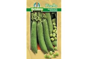 Pisello rampicante / TELEFONO gr.250