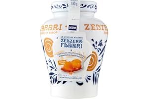 Zenzero Fabbri 600g