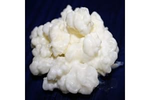 40g di Granuli Di Kéfir Di Latte + Istruzioni + Ricette + Aiuto e consigli in italiano - KEFIRALIA®
