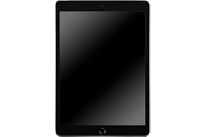 2019 Apple iPad (10,2-pollici, Wi-Fi + Cellulare, 128GB) Grigio Siderale (Ricondizionato)