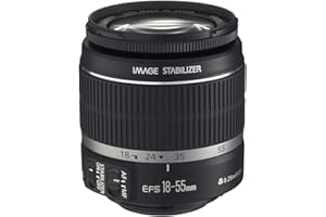Canon EF-S 18-55mm f/3.5-5.6 IS II SLR Lens White Box (Ricondizionato)