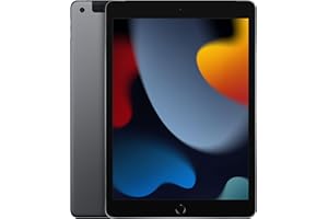 2021 Apple iPad (10,2-pollici, Wi-Fi + Cellulare, 256GB) Grigio Siderale (Ricondizionato)