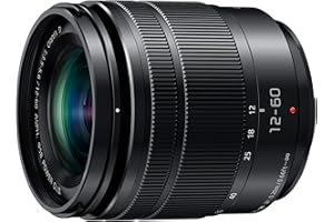 Panasonic Obiettivo 12-60 mm/F 3.5-5.6 LUMIX G VARIO POWER OIS ASPH 12 mm (ricondizionato)