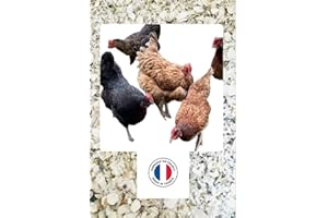 900 g di gusci di ostriche francesi naturali, igienizzate, calibrate e macinate per pollame - Alto contenuto di calcio: da 36 a 38% e oligoelementi (900 g)