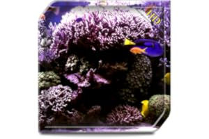 Aquarium Radiance HD - Wallpaper & Themes