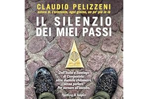 Il silenzio dei miei passi